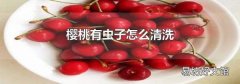 樱桃有虫子怎么清洗