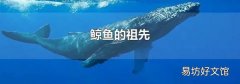 鲸鱼的祖先