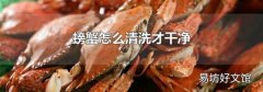 螃蟹怎么清洗才干净