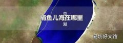 捕鱼儿海在哪里