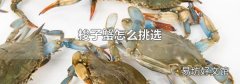 梭子蟹怎么挑选