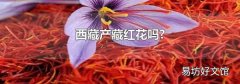 西藏产藏红花吗?