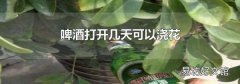 啤酒打开几天可以浇花