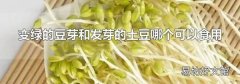 变绿的豆芽和发芽的土豆哪个可以食用