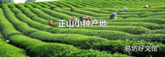 正山小种产地