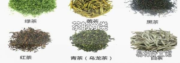 茶的分类