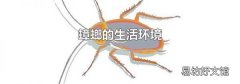 蟑螂的生活环境