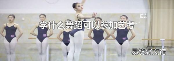 学什么舞蹈可以参加艺考