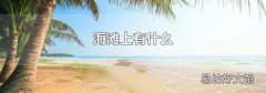 海滩上有什么