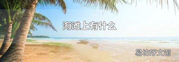 海滩上有什么