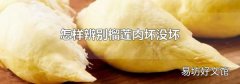 怎样辨别榴莲肉坏没坏
