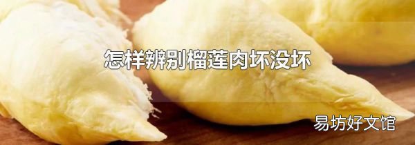 怎样辨别榴莲肉坏没坏