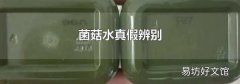 菌菇水真假辨别