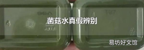 菌菇水真假辨别