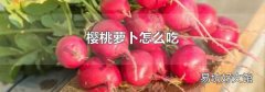 樱桃萝卜怎么吃