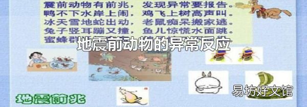 地震前动物的异常反应