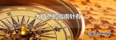 大自然的指南针有