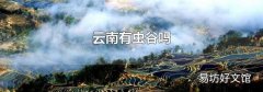 云南有虫谷吗