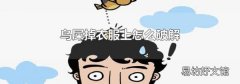 鸟屎掉衣服上怎么破解