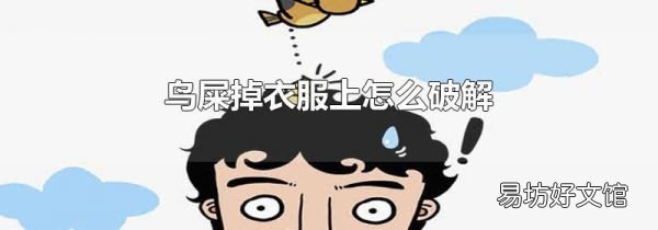 鸟屎掉衣服上怎么破解
