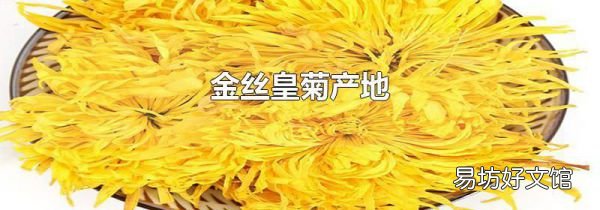 金丝皇菊产地