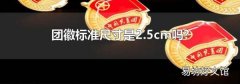 团徽标准尺寸是2.5cm吗?