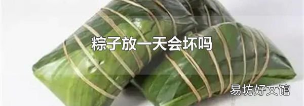 粽子放一天会坏吗