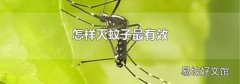 怎样灭蚊子最有效