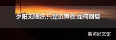 夕阳无限好,只是近黄昏,如何回复