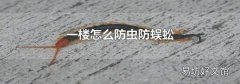 一楼怎么防虫防蜈蚣?