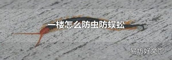 一楼怎么防虫防蜈蚣?