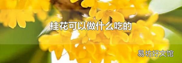 桂花可以做什么吃的