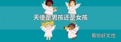 天使是男孩还是女孩