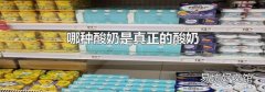 哪种酸奶是真正的酸奶