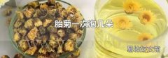 胎菊一次泡几朵