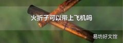 火折子可以带上飞机吗