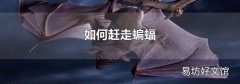 如何赶走蝙蝠