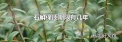 石斛保质期限有几年
