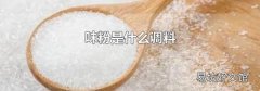 味粉是什么调料