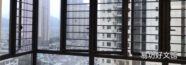 长期驱赶苍蝇的办法