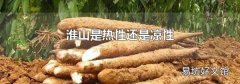淮山是热性还是凉性