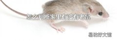 怎么判断家里有没有老鼠