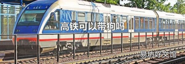 高铁可以带狗吗