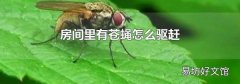 房间里有苍蝇怎么驱赶