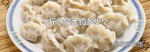 一斤水饺大约多少个