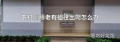 农村厕所老有蛆往出爬怎么办