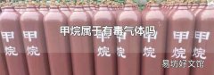 甲烷属于有毒气体吗