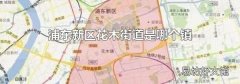 浦东新区花木街道是哪个镇