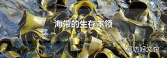 海带的生存本领