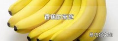 香蕉的寓意